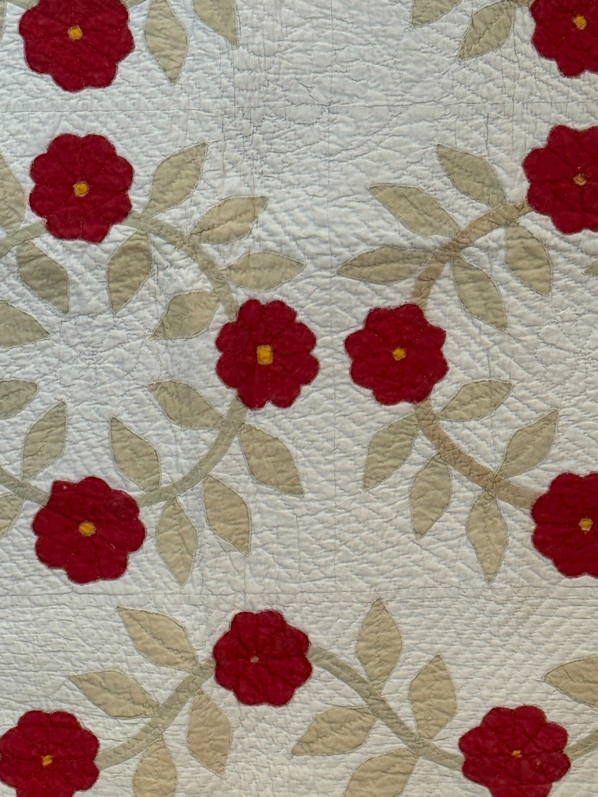 Image #10