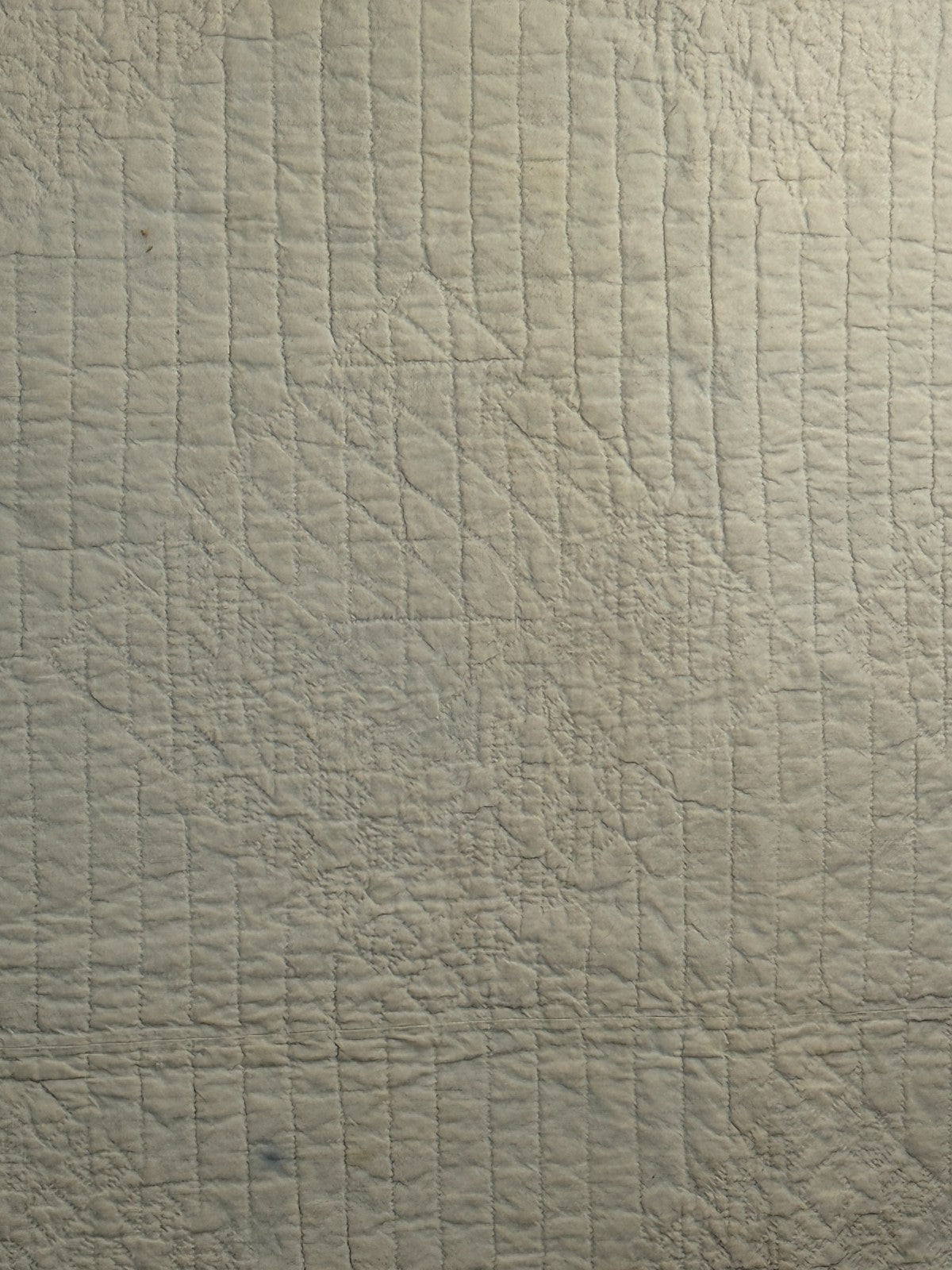 Image #19