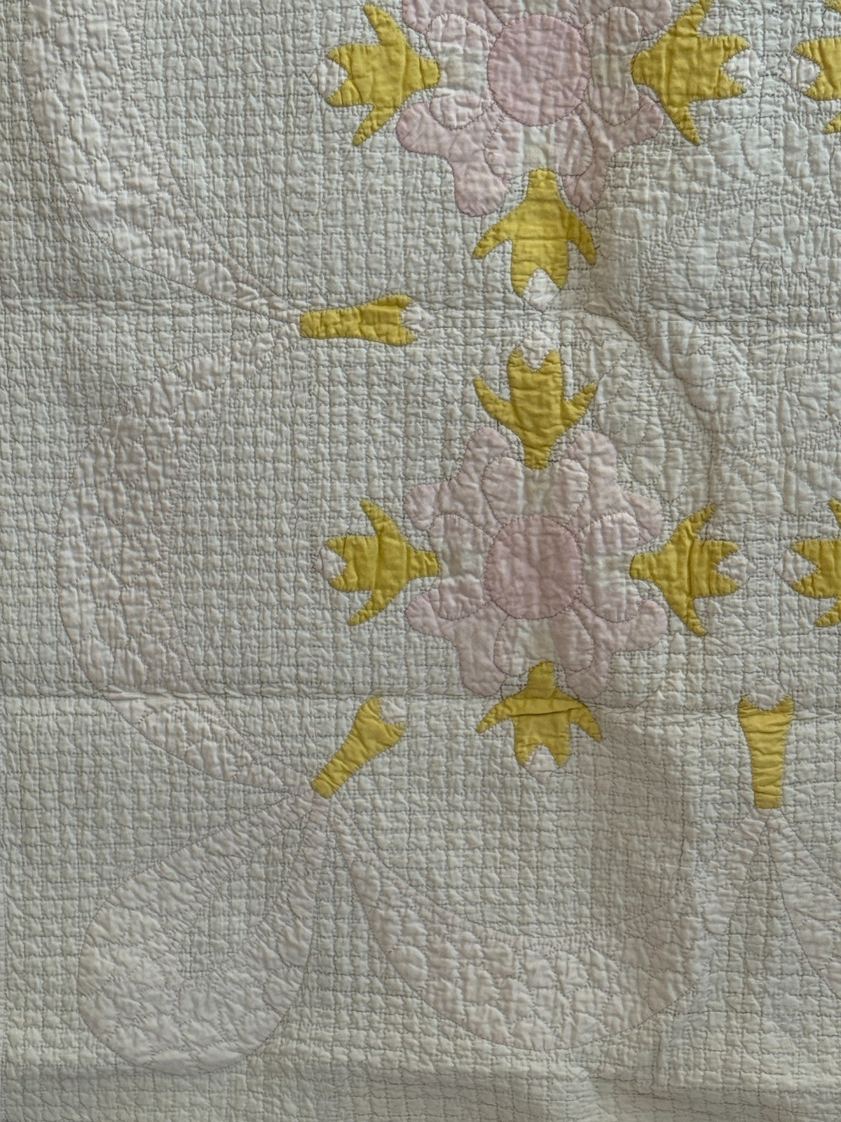 Image #9