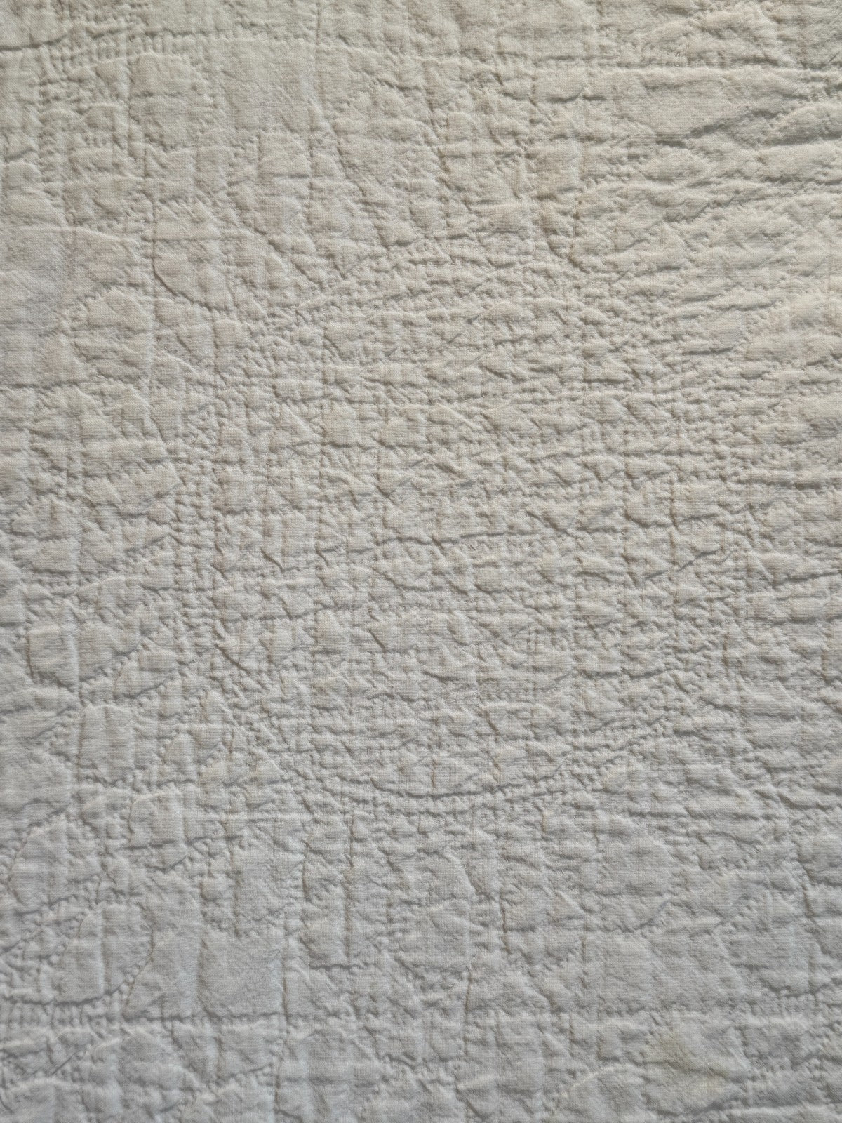 Image #10