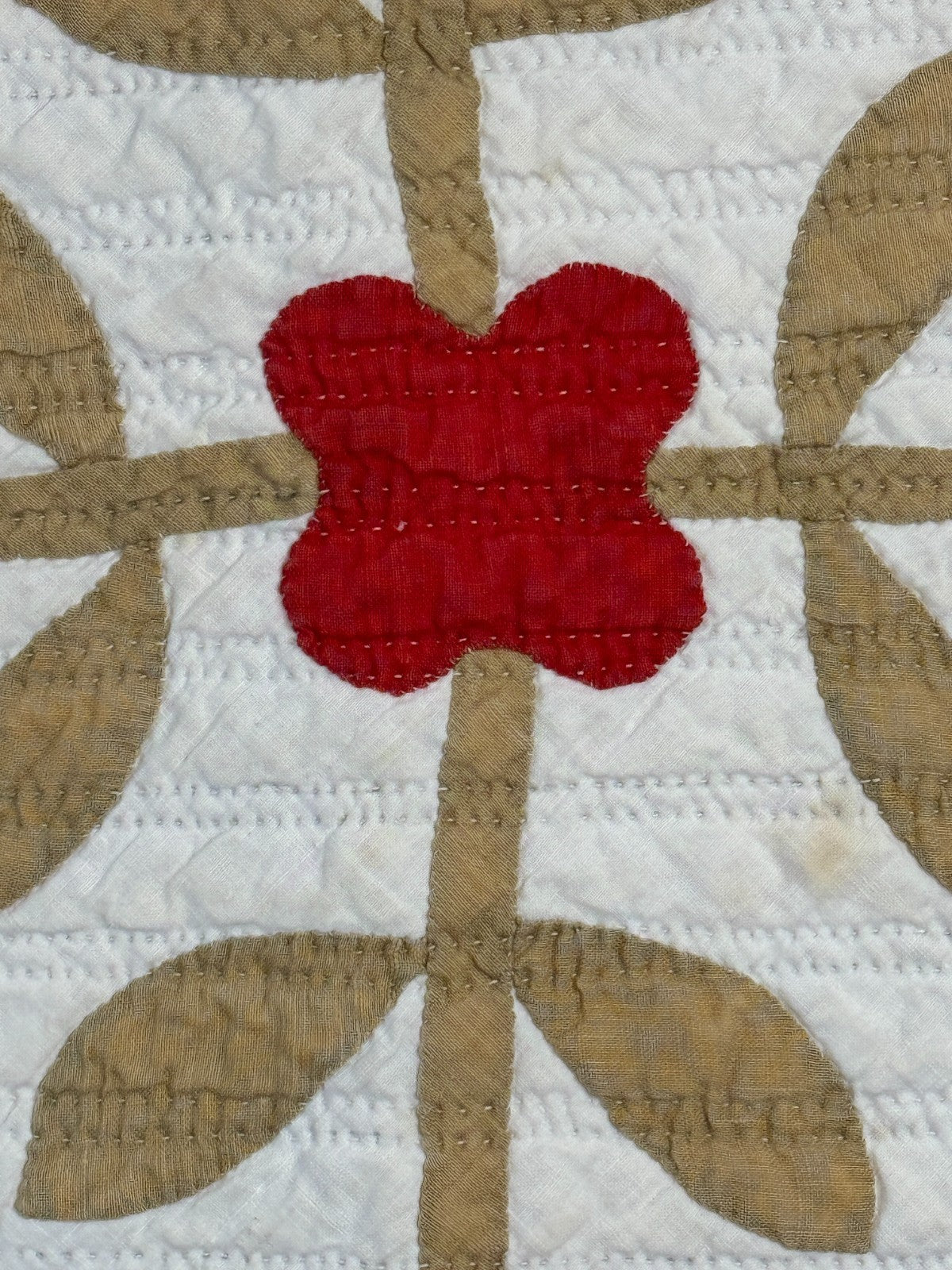 Image #9